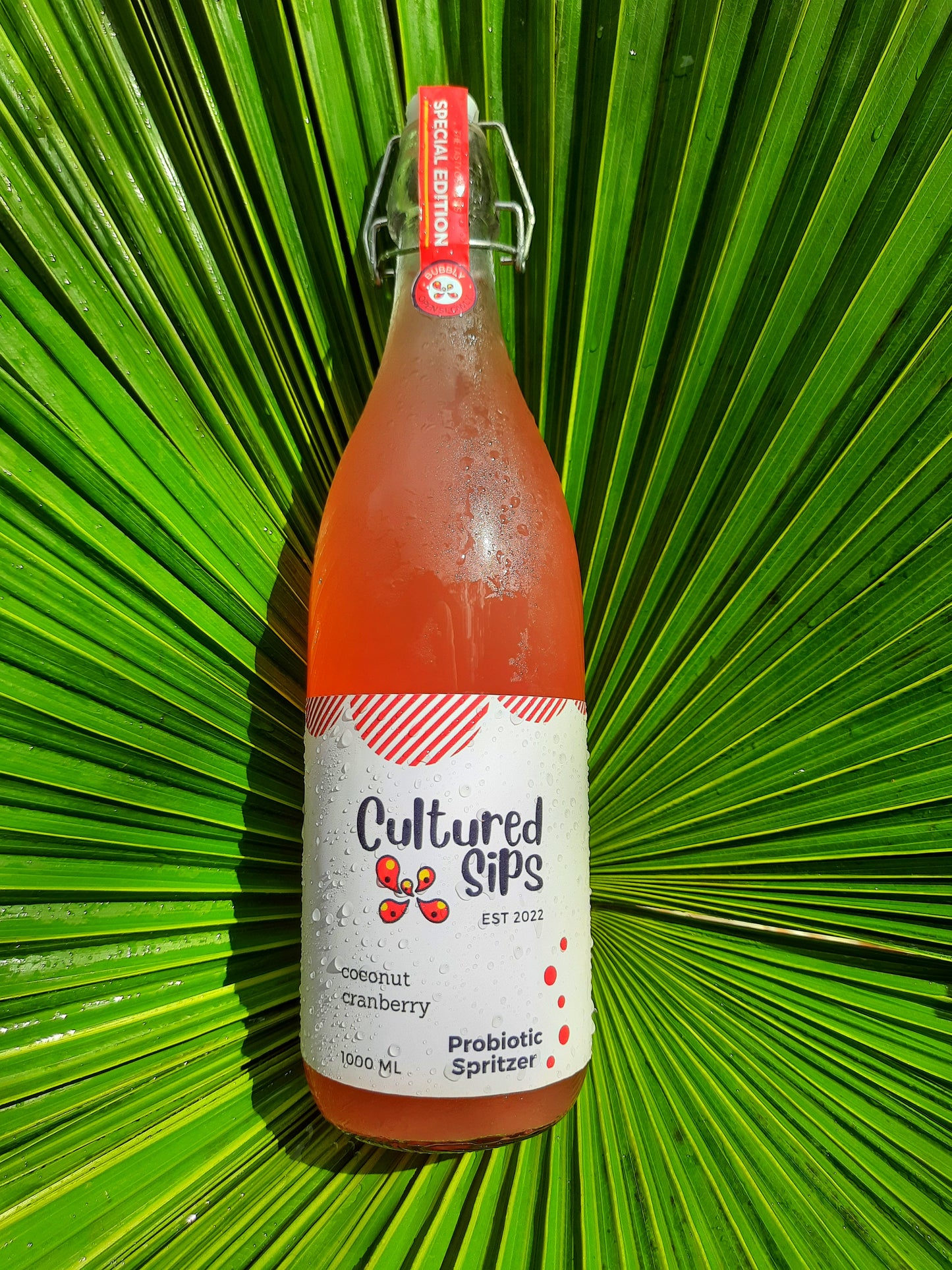 Cultured Sips Probiotic Spritzer- Cranberry Coconut