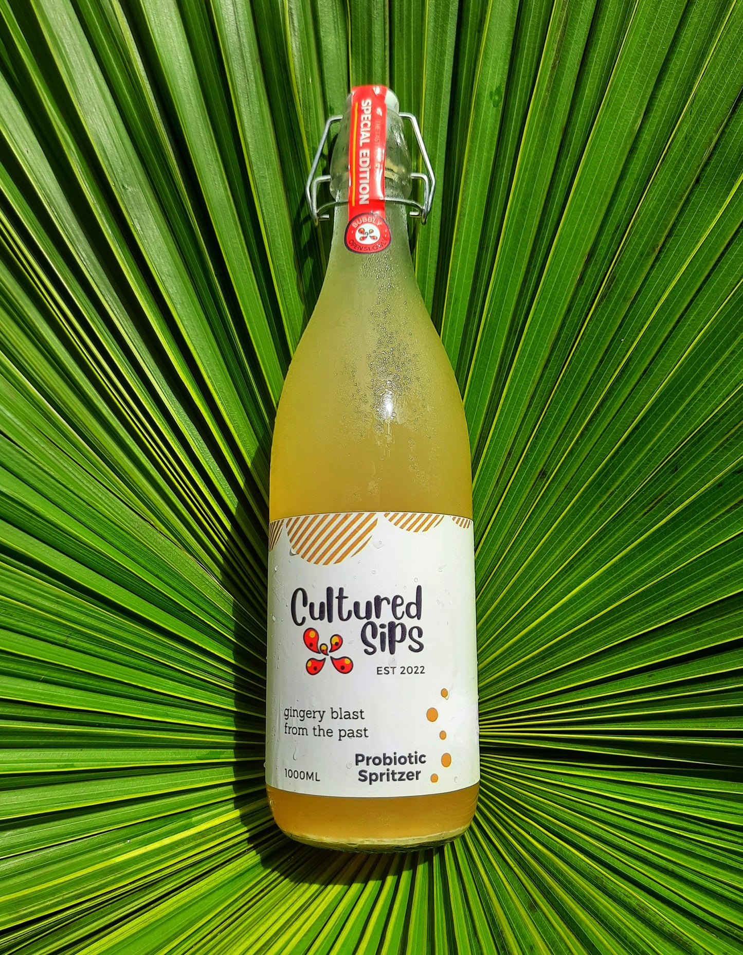 Cultured Sips Probiotic Spritzer- Gingery Blast From The Past