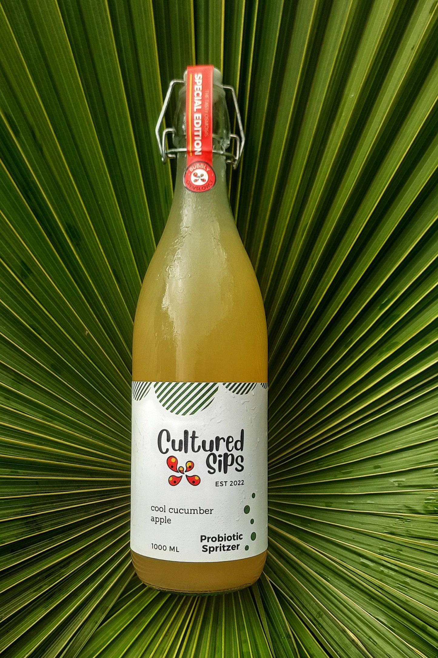 Cultured Sips Probiotic Spritzer- Cool Cucumber Apple