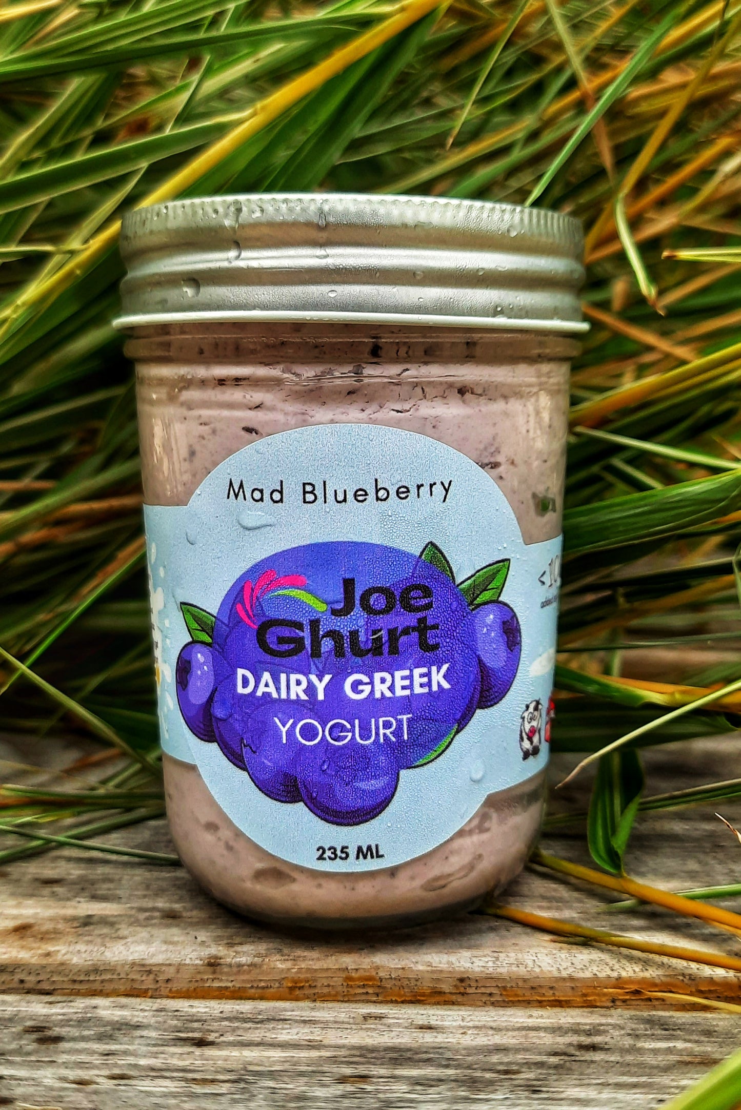 Joe Ghurt Dairy Greek Yogurt- Mad Blueberry