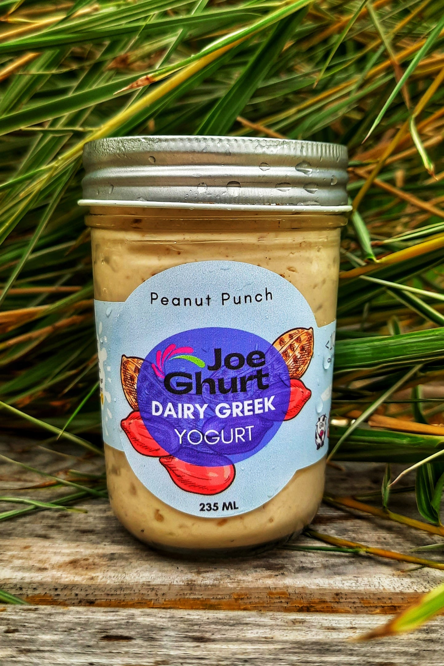 Joe Ghurt Dairy Greek Yogurt- Peanut Punch