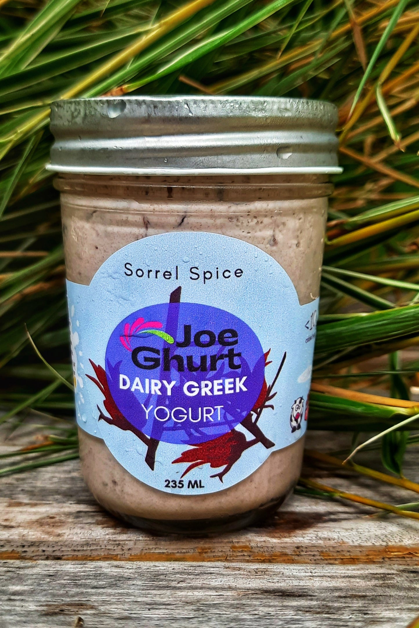 Joe Ghurt Dairy Greek Yogurt- Sorrel Spice