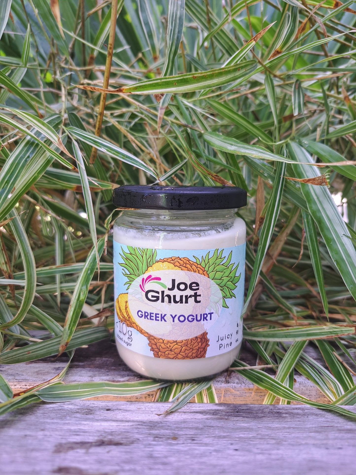 Joe Ghurt Dairy Greek Yogurt- Juicy Pine