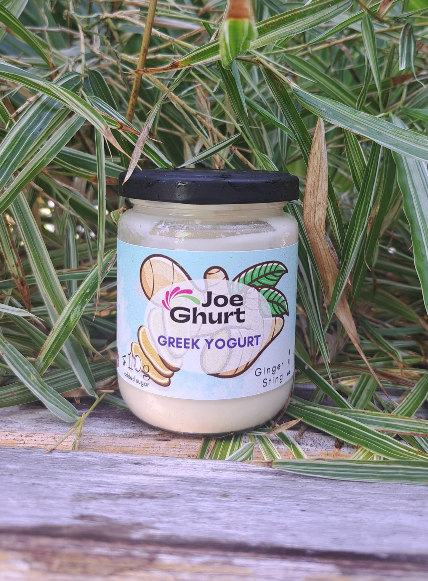 Joe Ghurt Dairy Greek Yogurt- Ginger Sting