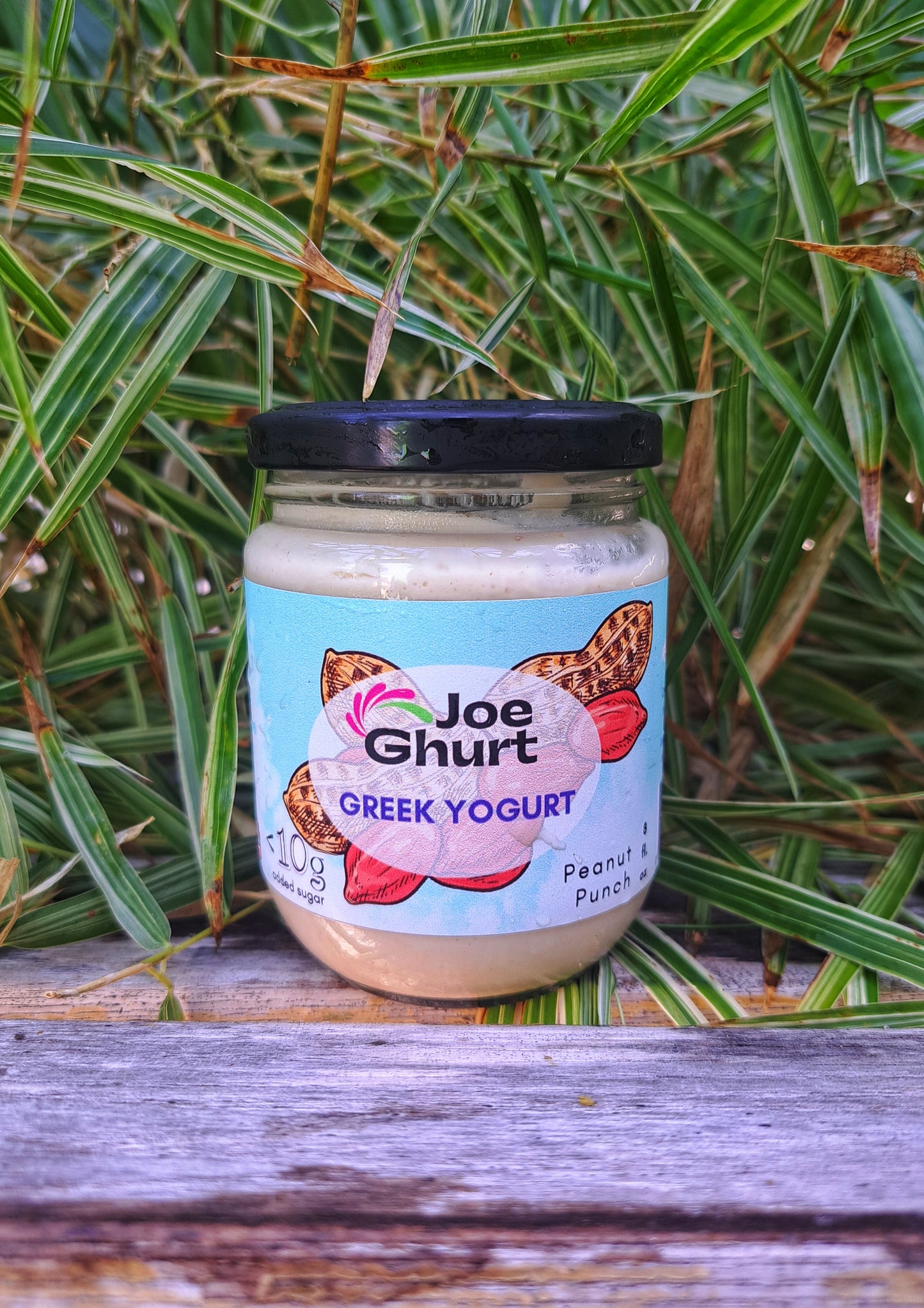 Joe Ghurt Dairy Greek Yogurt- Peanut Punch