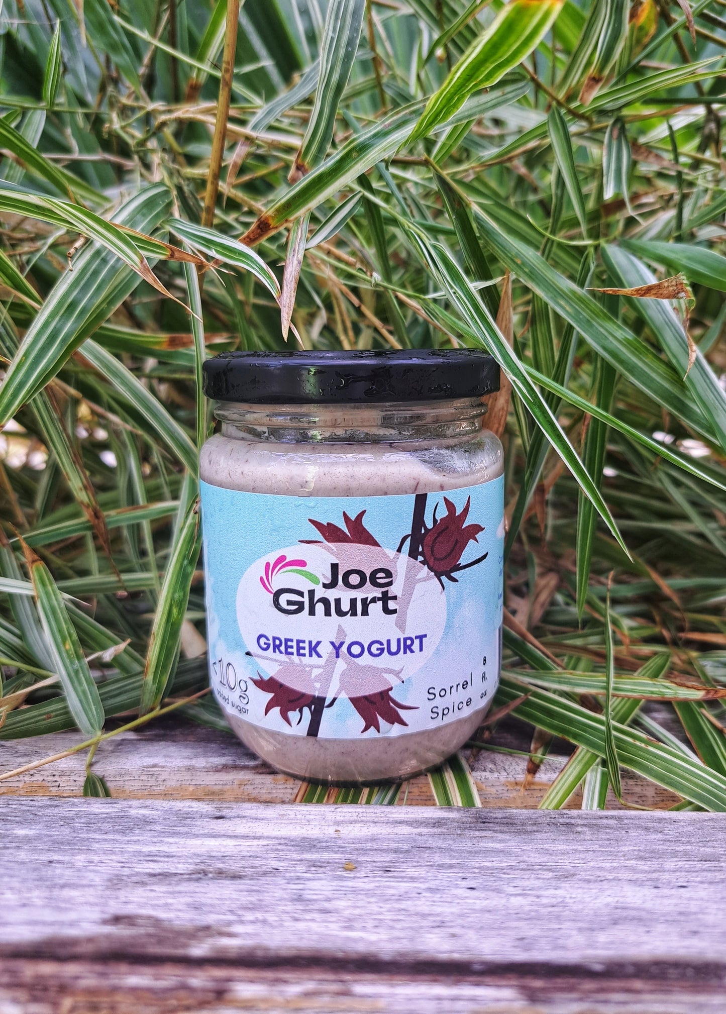 Joe Ghurt Dairy Greek Yogurt- Sorrel Spice