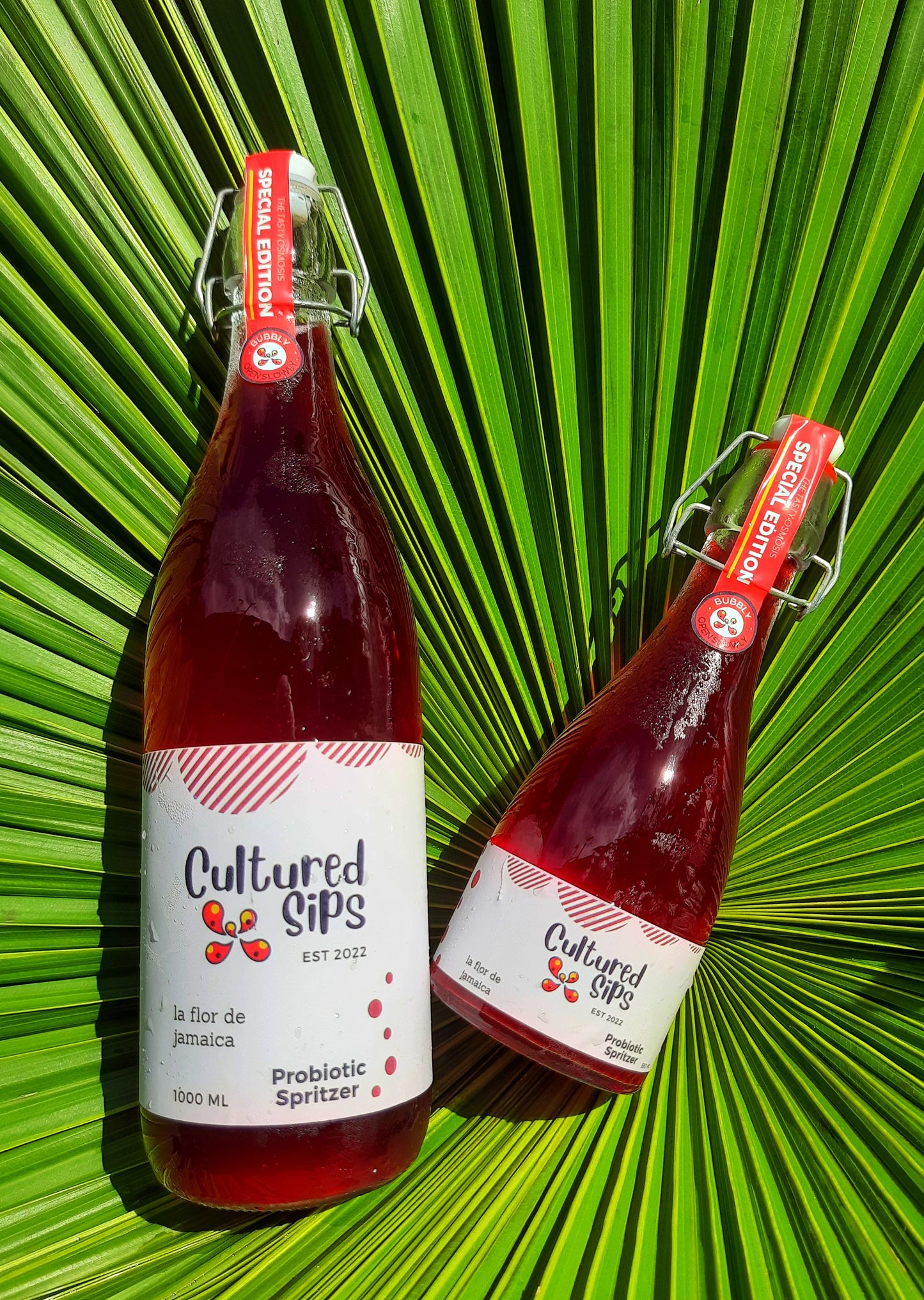 Cultured Sips Probiotic Spritzer- La Flor De Jamaica