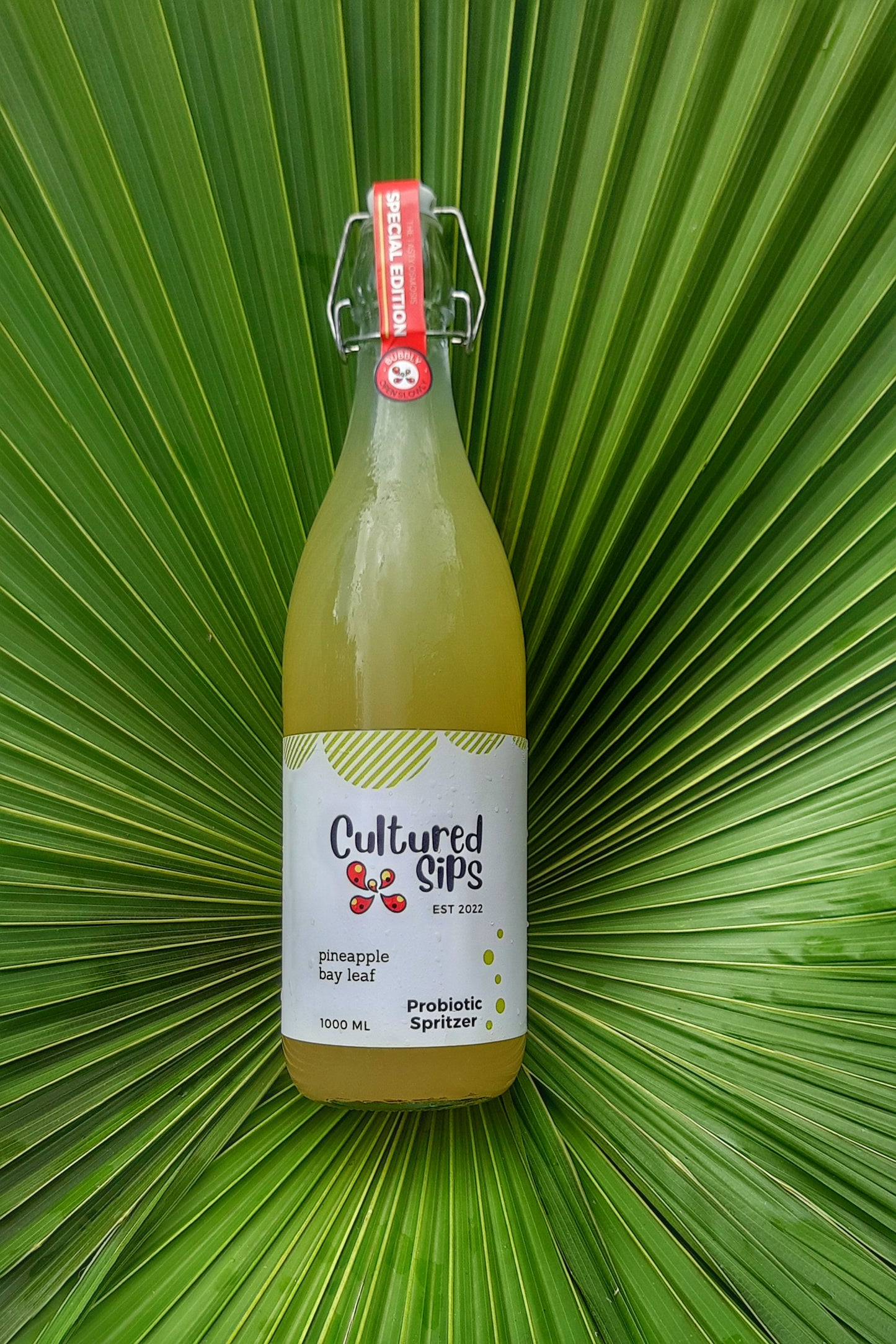 Cultured Sips Probiotic Spritzer- Pineapple Bay Leaf