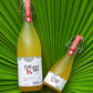 Cultured Sips Probiotic Spritzer- Cool Cucumber Apple