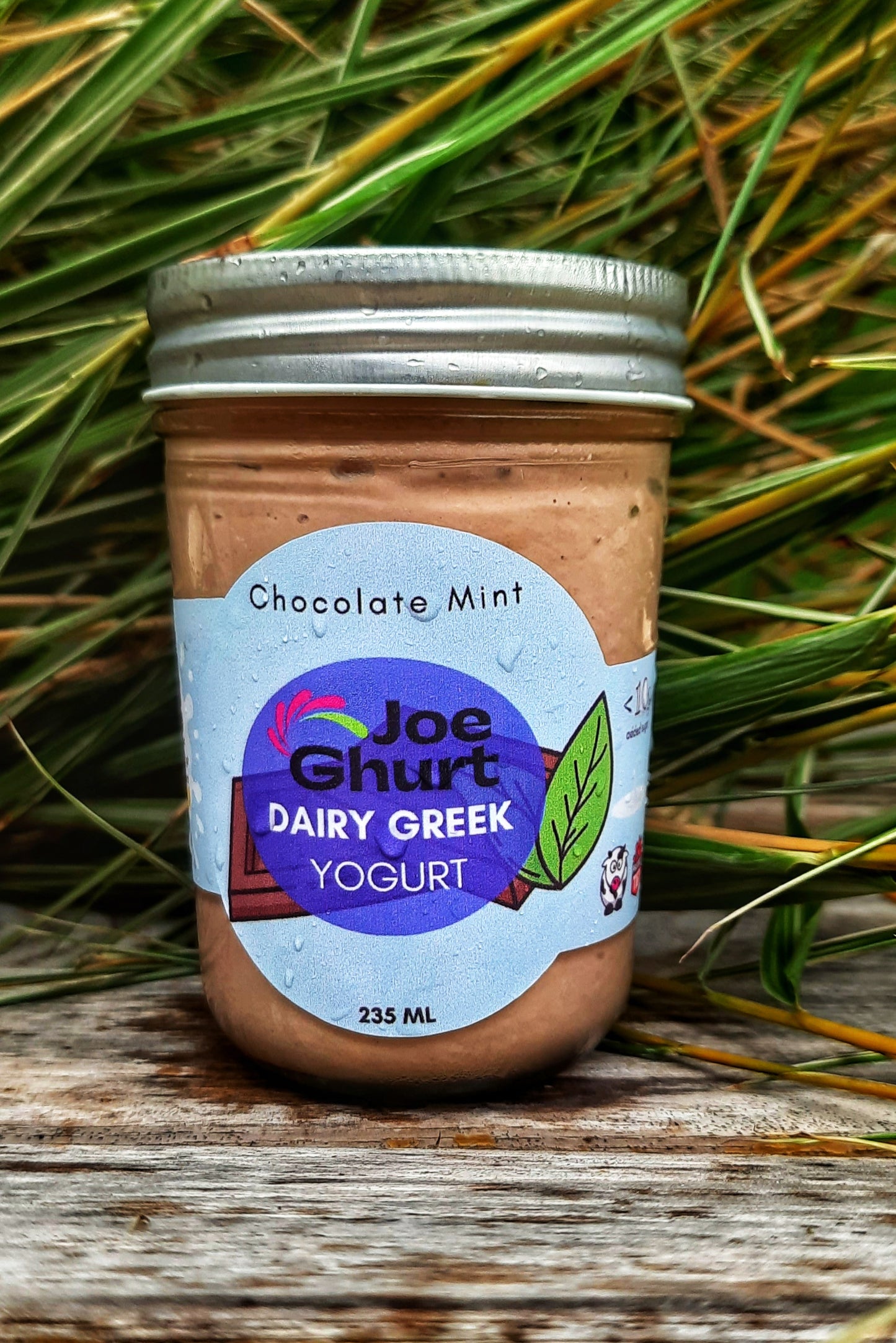 Joe Ghurt Dairy Greek Yogurt- Chocolate Mint